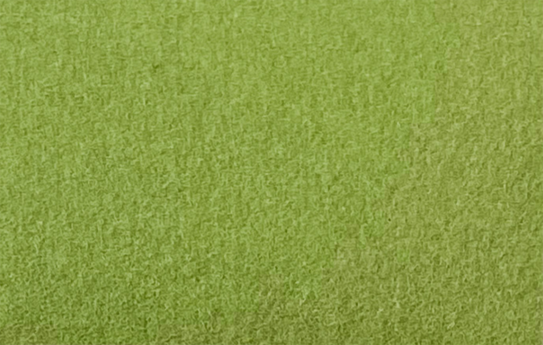 Excentr EDS green pad 3000 grit 55-35 (2)